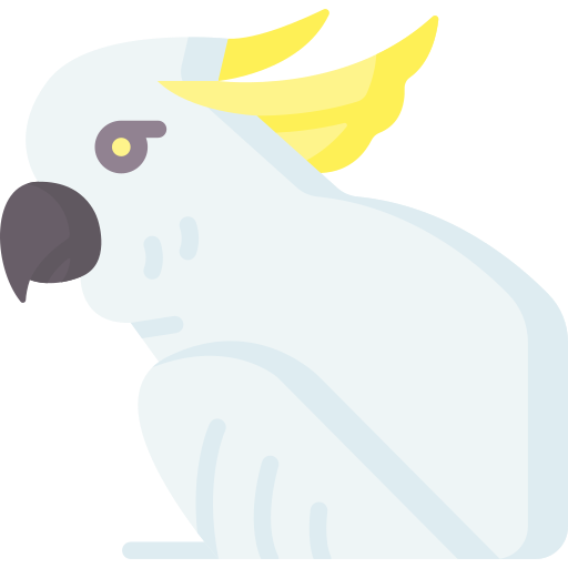 Cockatoo Special Flat icon