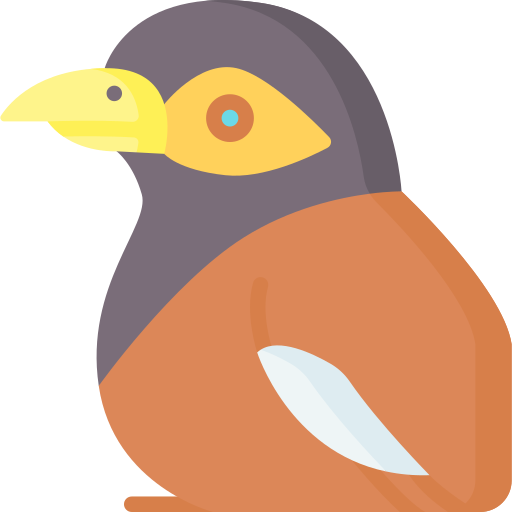myna kostenlos Icon myna kostenlos Icon