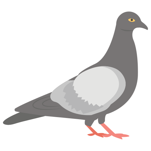 Pigeon Generic color fill icon