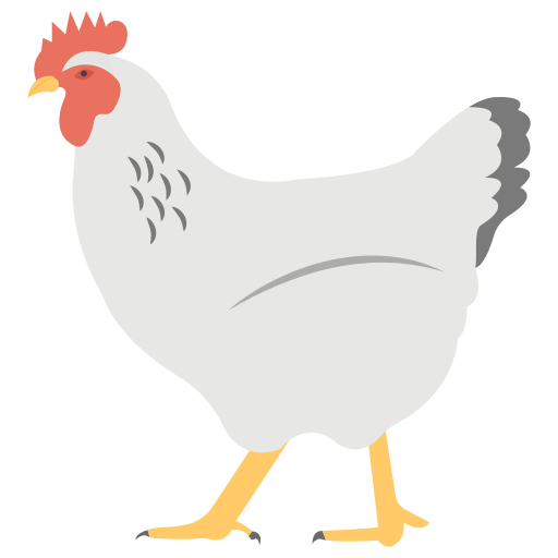 Hen Clipart Laid - Imagem De Galinha Em Desenho - Png Download