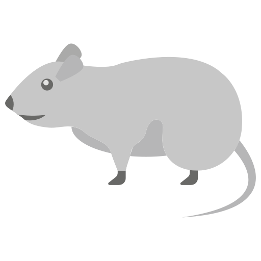rat Icône gratuit rat Icône gratuit