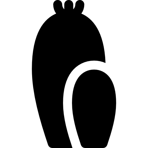 cactus Icône gratuit