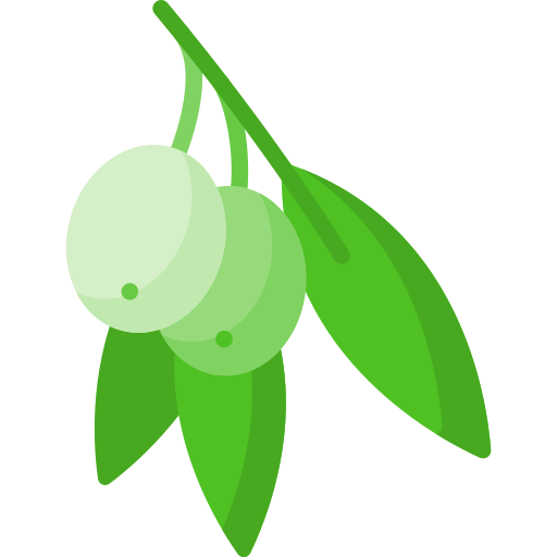 aceituna icono gratis