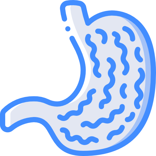bauch kostenlos Icon