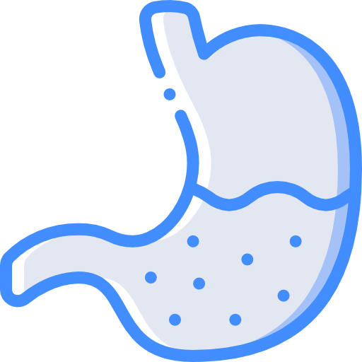 bauch kostenlos Icon