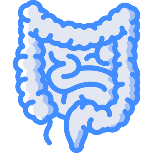 Intestines - Free Icon