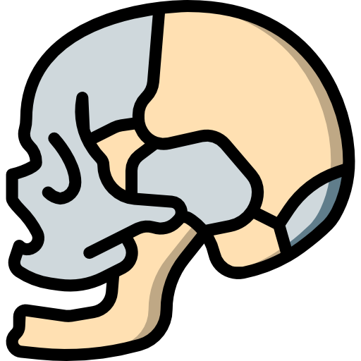 Skull free icon Skull free icon