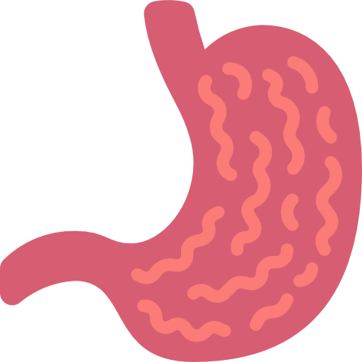 bauch kostenlos Icon bauch kostenlos Icon