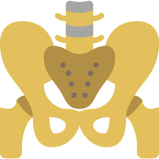 pelvis icono gratis