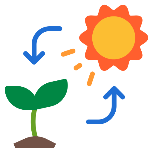 Photosynthesis free icon