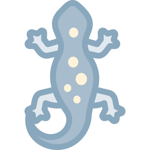 Salamander Free Animals Icons