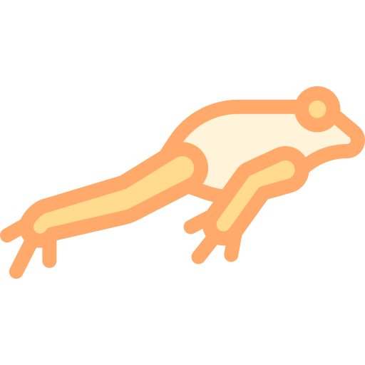 Frog  free icon