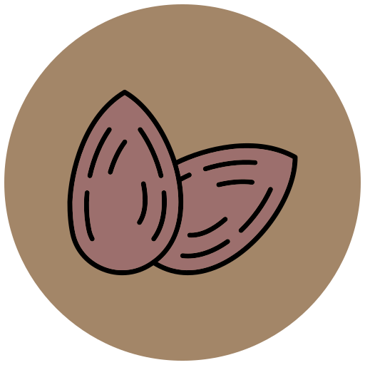 Almonds free icon