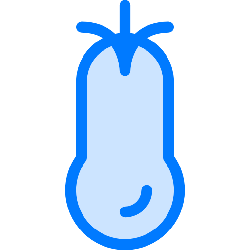 Eggplant free icon Eggplant free icon