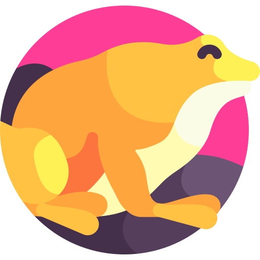 Tongueless frog free icon Tongueless frog free icon