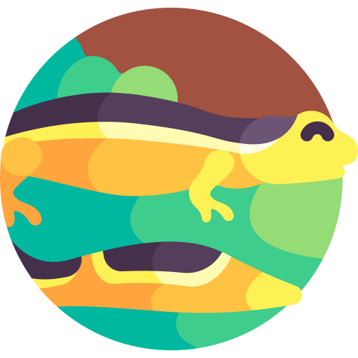 Climbing salamander free icon Climbing salamander free icon