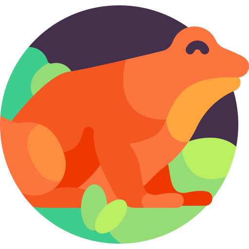 grenouille mantelle Icône gratuit