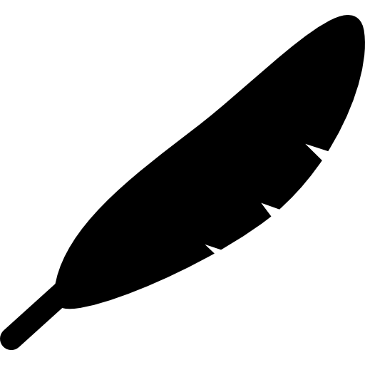 Feather icon