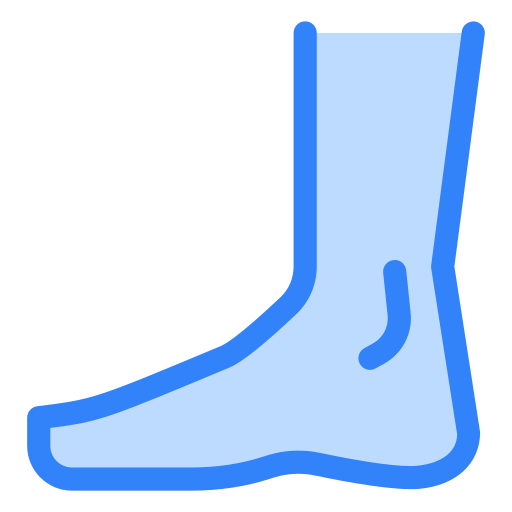 Foot Generic color lineal-color icon