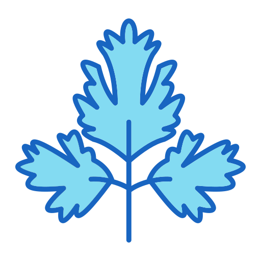 perejil icono gratis