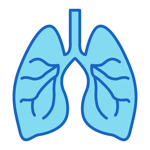 Lungs Generic color lineal-color icon