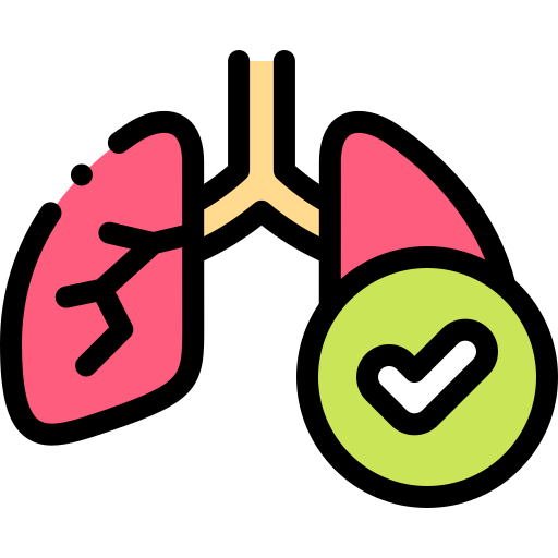 Lungs Detailed Rounded Lineal color icon