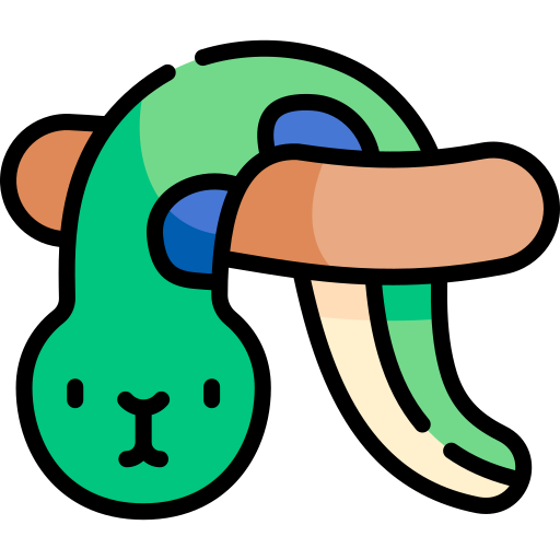 anaconda grátis ícone