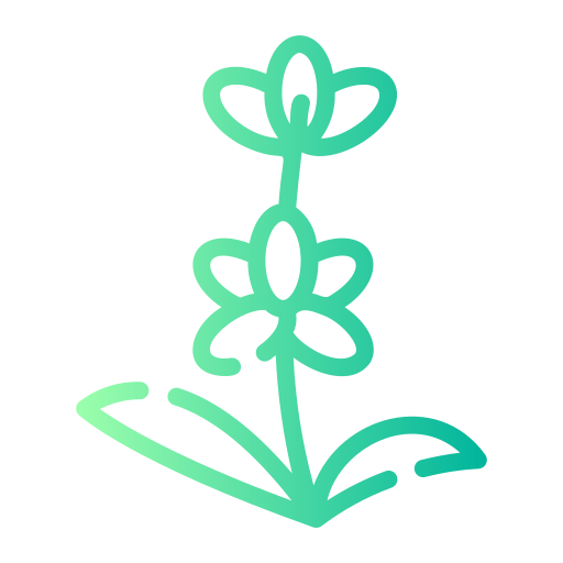 Лаванда бесплатно иконка