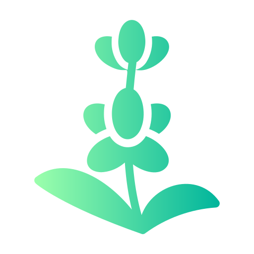 lavendel kostenlos Icon
