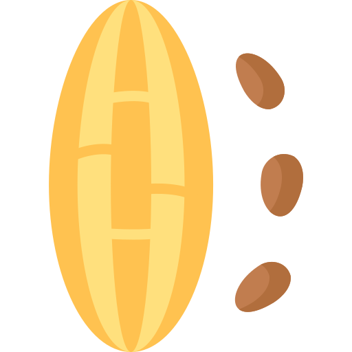 cacao icono gratis