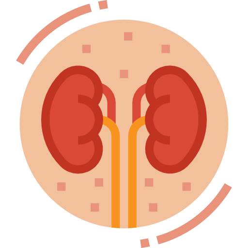 Kidney free icon Kidney free icon