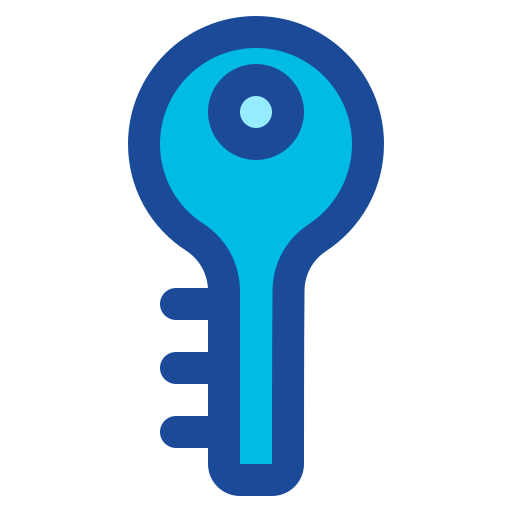 Key Generic color lineal-color icon