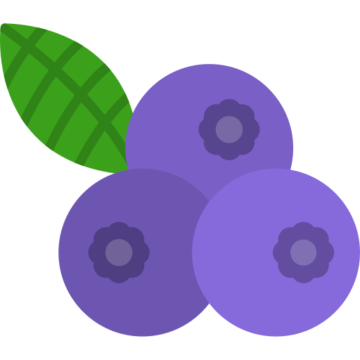 Blueberries Generic color fill icon