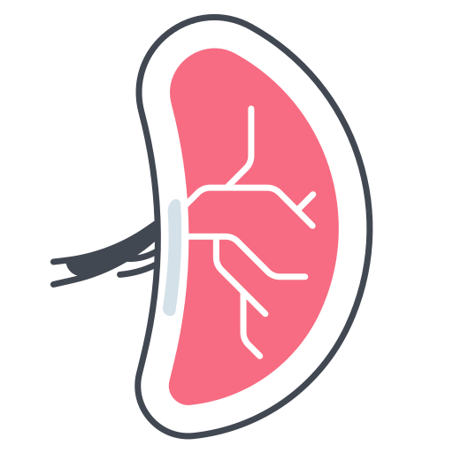 비장 무료 아이콘