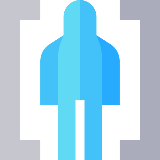 Body Scan Basic Straight Flat Icon