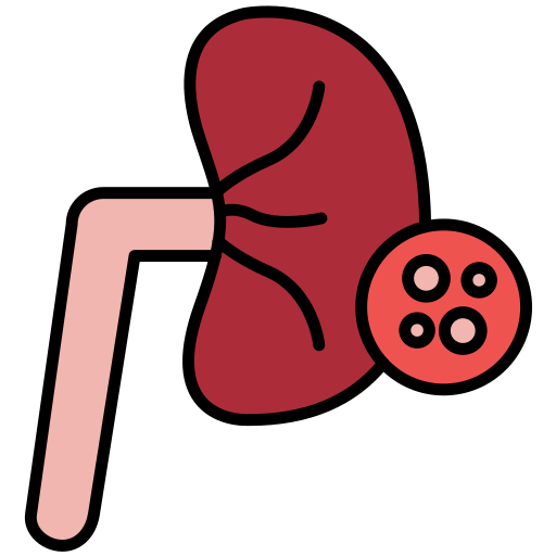 Kidneys Generic color lineal-color icon