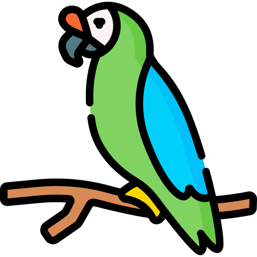 Macaw free icon