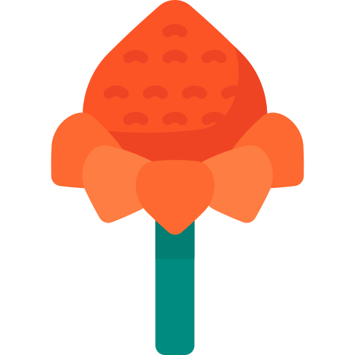 Anthurium free icon Anthurium free icon