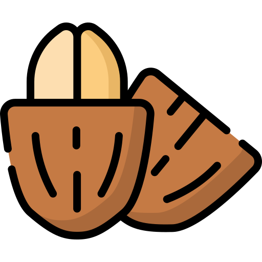 Cacao icono gratis