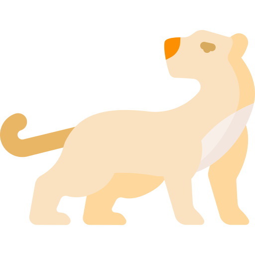 Puma free icon