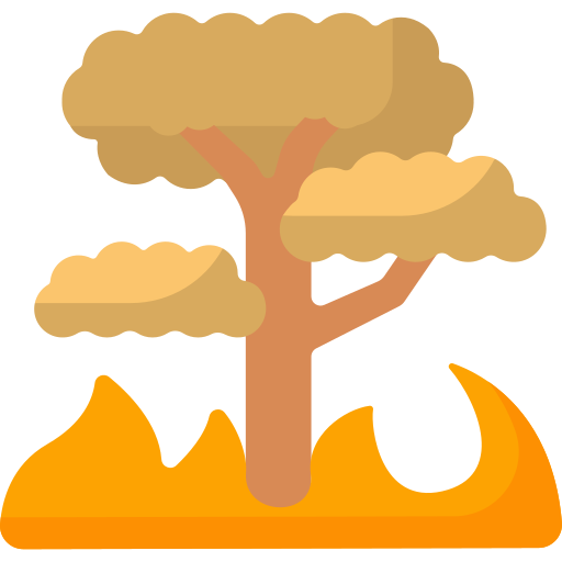 Fire free icon Fire free icon
