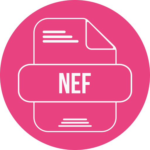 nef icono gratis