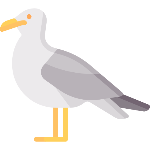 Seagull Special Flat icon