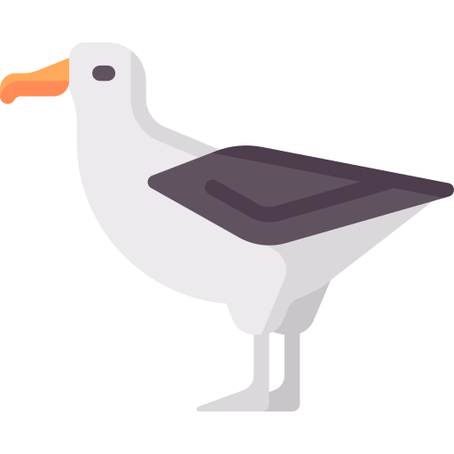 Albatross Special Flat icon