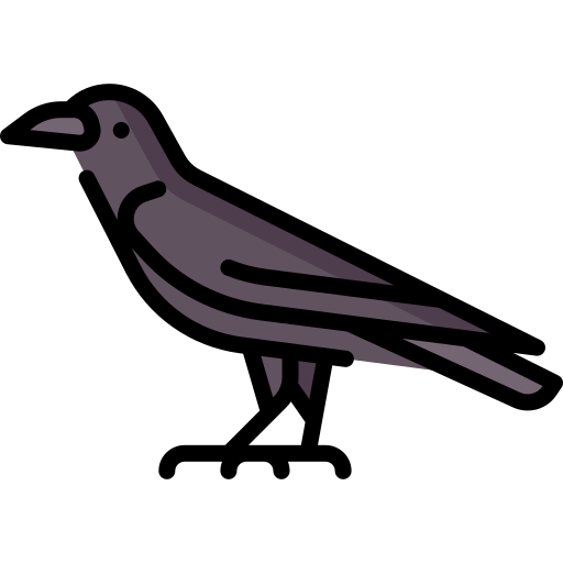 Crow Special Lineal color icon