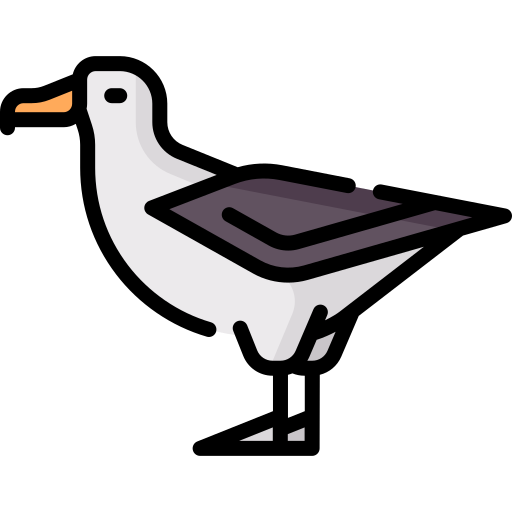 albatros Icône gratuit