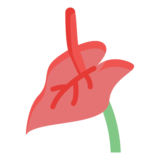 anthurium Icône gratuit anthurium Icône gratuit