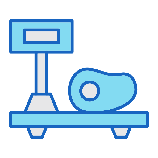 Weight Scale Generic color lineal-color icon