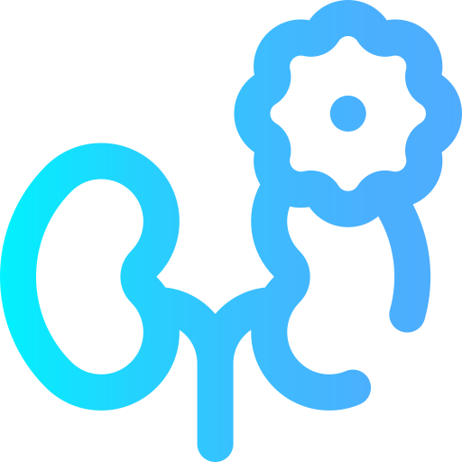 Kidney cancer free icon Kidney cancer free icon