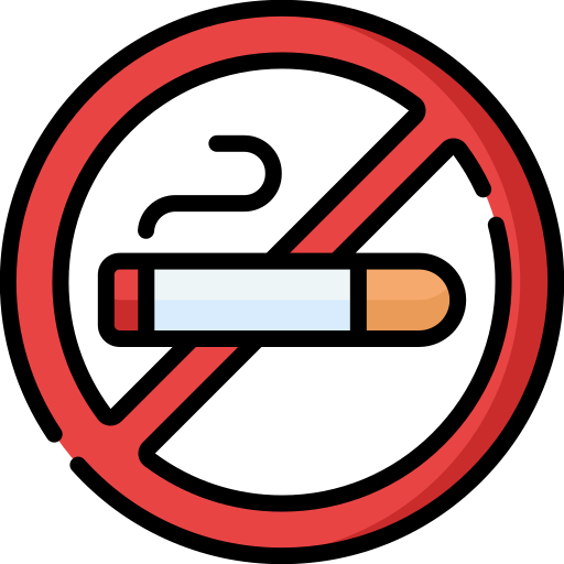 No smoking Generic color lineal-color icon